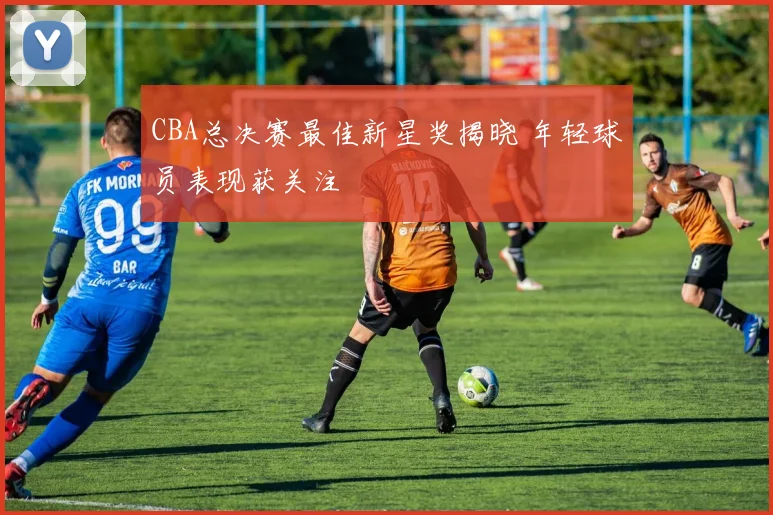 CBA总决赛最佳新星奖揭晓 年轻球员表现获关注