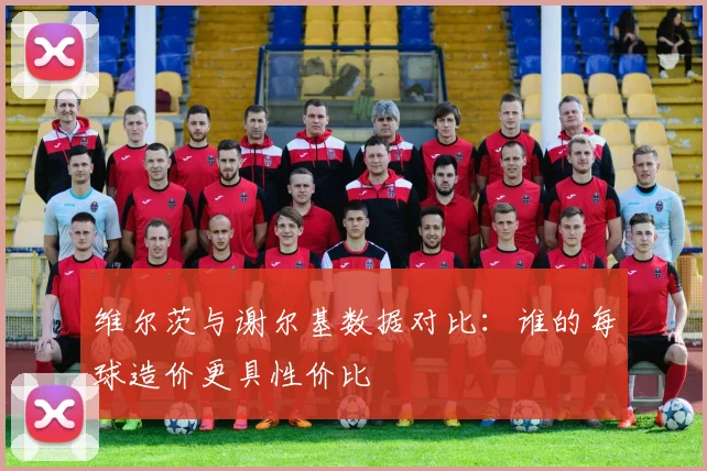 维尔茨与谢尔基数据对比：谁的每球造价更具性价比