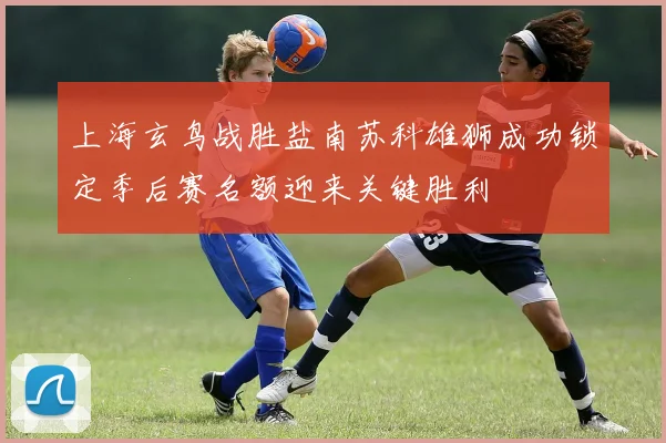 上海玄鸟战胜盐南苏科雄狮成功锁定季后赛名额迎来关键胜利